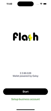 Flash login/start page